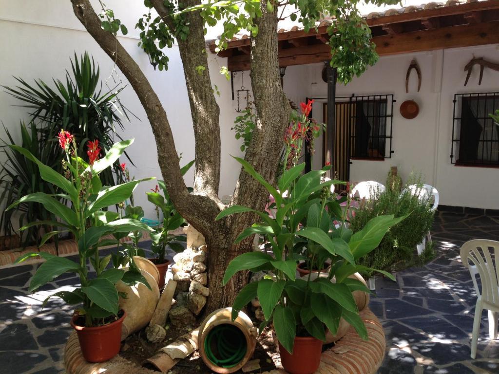 Casa Rural El Rincon Del Infante Villa de Don Fadrique Esterno foto